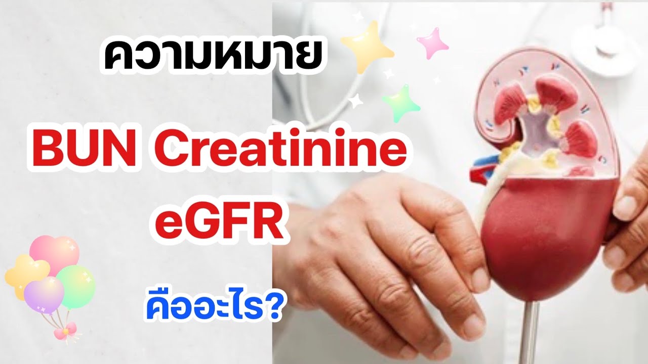 ผลเลือด BUN Creatinine eGFR คืออะไร ผลแบบนี้แปลว่าอะไร