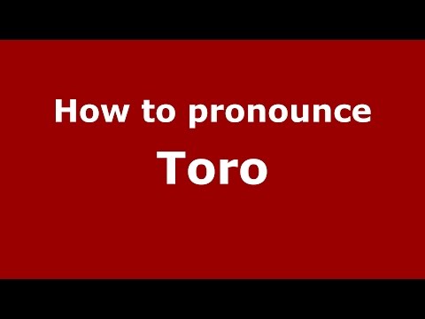 How to pronounce Toro
