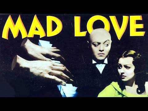 afbeelding Opening Title