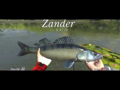 فيديو Ultimate Fishing Simulator