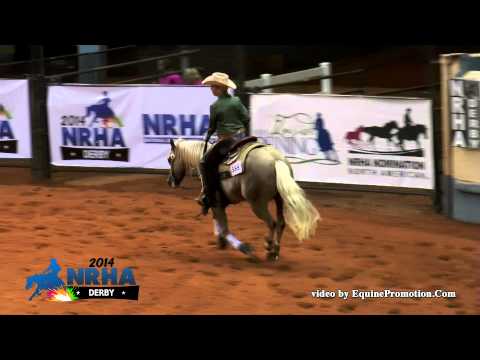 Who Whiz Hemingway ridden by Stuart Russell - 2014 NRHA Derby(Non Pro Derby 1st Go)