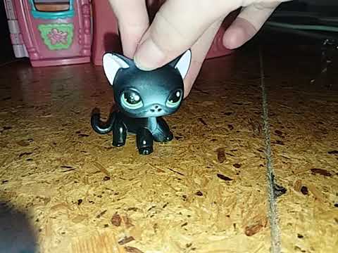 sorry i havent uploaded in a while!