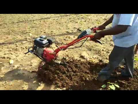 PETROL POWER WEEDER XYLEM SS 203