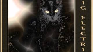 Big Electric Cat - Paris Skyes (Grauesubstanz Mix)