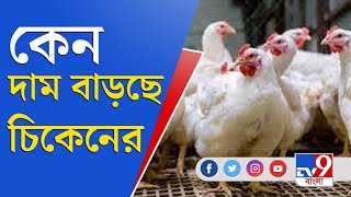 Chicken Price Hike: মুরগির দাম বাড়ার কারণ বিশ্লেষণে TV9 বাংলা