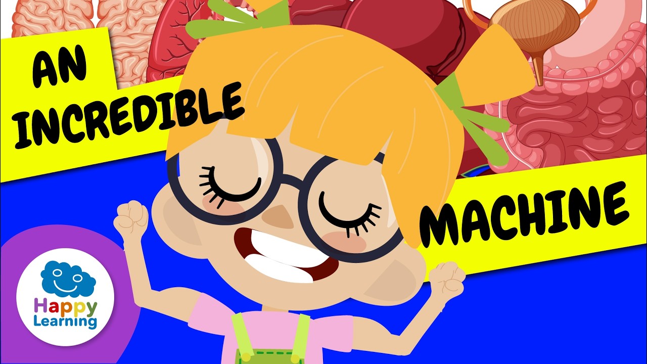 🧠Learn about your BODY and how your ORGANS work | Educational Videos for Children | @HappyLearningEN