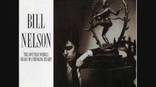 Bill Nelson  -  A Private View