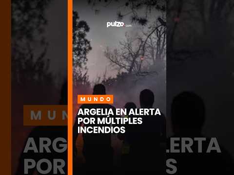 Incendios cercan zonas residenciales en Argelia y dejan 12 muertos | Viory