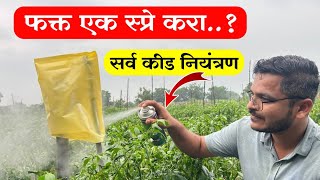 फक्त एकच स्प्रे मध्ये सर्व कीड नियंत्रण 🔥 Patil Biotech Mashikari Sprey