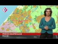 Verkeersjournaal