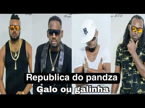 República do pandza - Galo ou galinha