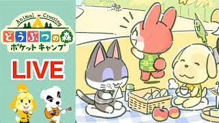 [ポケ森]ライブ#31 雑談しながらほのぼのスローライフ どうぶつの森ポケットキャンプ