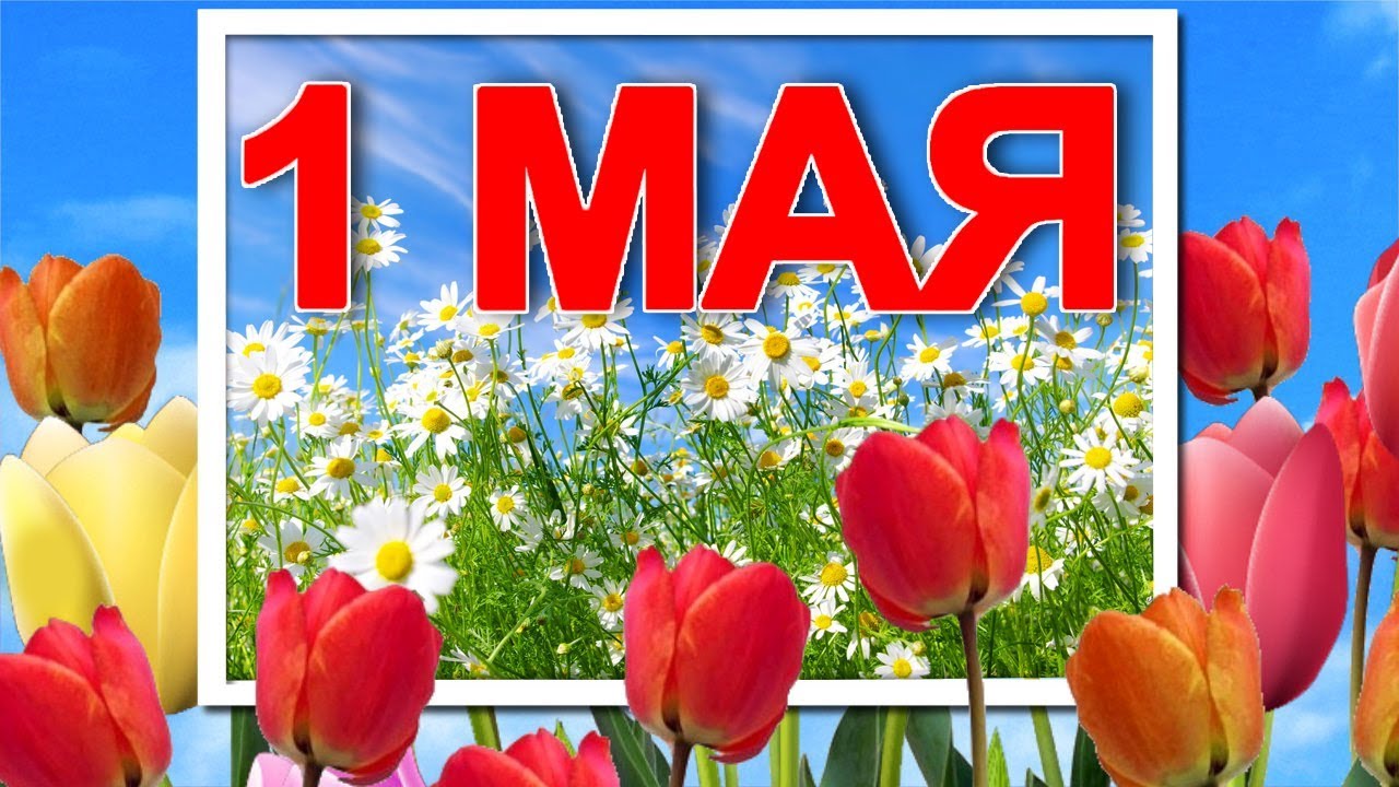 Видео открытки с 1 мая
