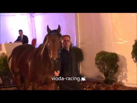 Xawery  (Planteur - Xaara) ur.2015, jesienna aukcja na Służewcu, 28.10.2019