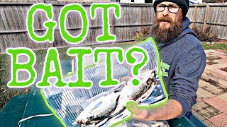Preserving WINTER Catfish BAIT - ONE Throw Stocked the Freezer!