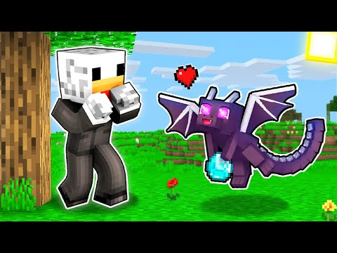 HO ADOTTATO UN CUCCIOLO DI DRAGO - Minecraft ITA