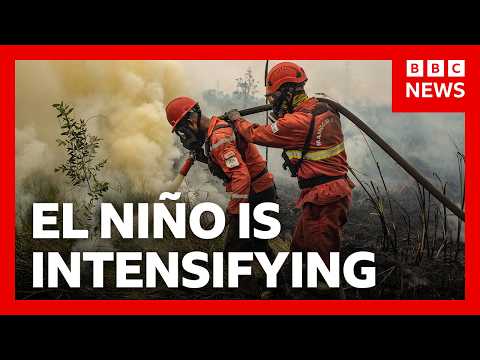 ‘Godzilla’ El Niño is hitting us already. Here’s how | BBC News
