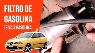 Youtube thumbnail of video " Cómo cambiar el filtro de gasolina"