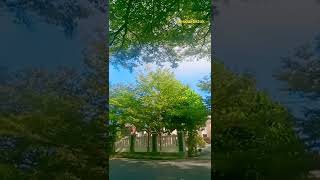 Download lagu daun hijau kota ciamis (cover kamana cintana - nina) #pesonatiktok #shorts mp3 Download lagu daun hijau kota ciamis (cover kamana cintana - nina) #pesonatiktok #shorts mp3