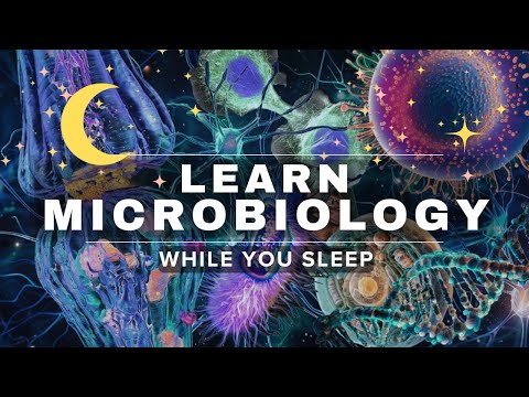 Microbiology for Beginners | Sleep Learning Lecture