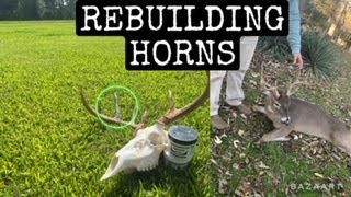 HOW TO REPAIR BROKEN DEER HORNS USING EPOXY