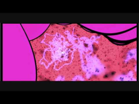 Daniele Papini Hidden Source