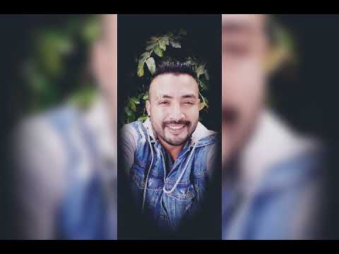 Perfeita video