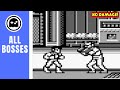 Double Dragon II GB All Bosses No Damage