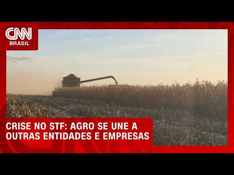 Crise no STF adiciona incerteza a um agro que já enfrenta aperto de crédito | CNN AGRO NEWS