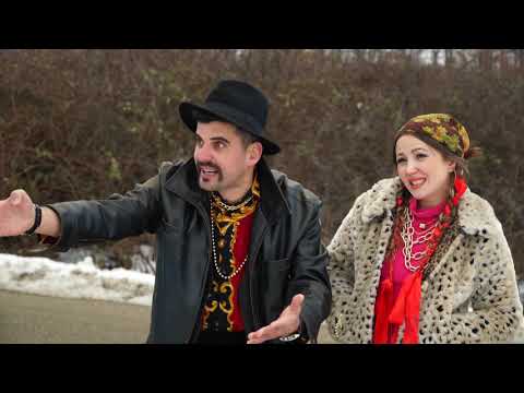 Casa FERmecată - MIRCEA BRAVO