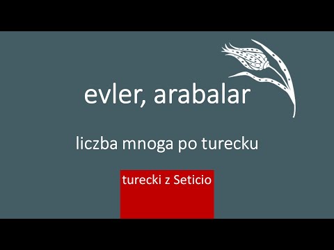 9. Plurals in Turkish - Turkish with Seticio - Lesson 9