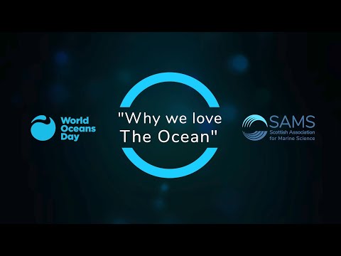 youtube video image