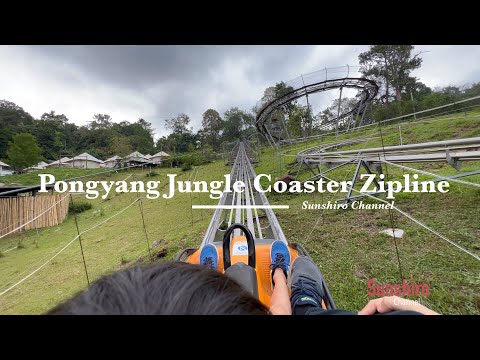 โป่งแยง จังเกิ้ล โคสเตอร์ ซิปไลน์