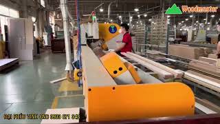 Máy cắt phôi tối ưu cắt WM-260-OPTICUT