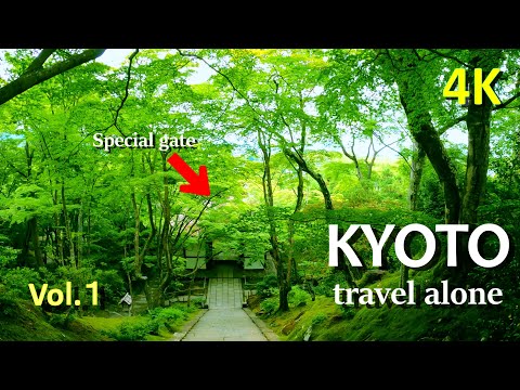 [Kyoto walking tour vol.1] Sightseeing spots I recommend as a Japanese