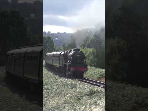 46115 Scots Guardsman roars towards Kidderminster at the SVR! #shorts #severnvalleyrailway #steam
