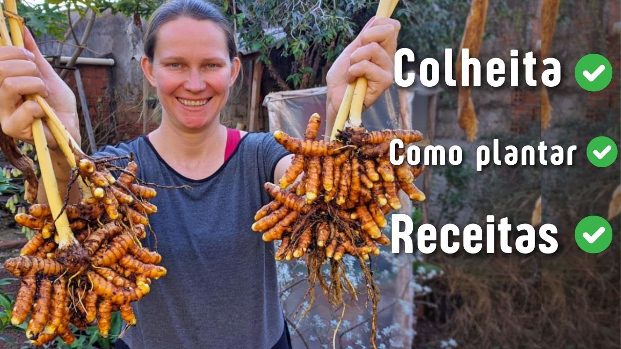 How to Use Turmeric for Maximum Benefits | 2 Easy Recipes | Fresh Turmeric Root🌱