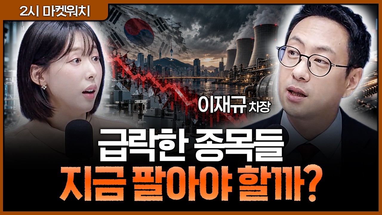 한미약품·두산에너빌리티부터 반도체 소부장까지…하락장에서 다시 본 투자 근거ㅣ권다영, 이재규 SK증?