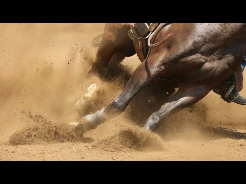Gineteada na rural (expofeira)Bagé-RS