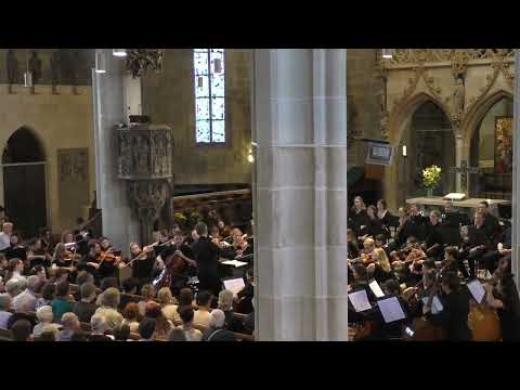 Sommerkonzert 2025 Dvorak Cellokonzert B Moll, Op. 104 Freie Sinfonie Tübingen & Lionel Martin