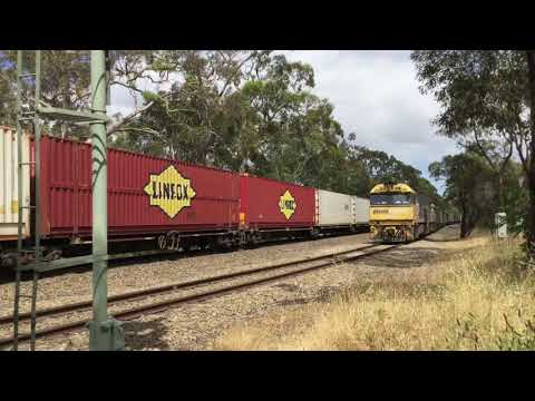 Late and rare 7MP5 at Belair