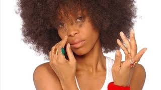 Erykah Badu World Keeps Turnin’ Intro