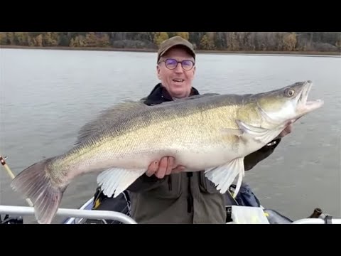Fiskeguide Berra Mårdh – 97 cm, 11 kg, monstergös!
