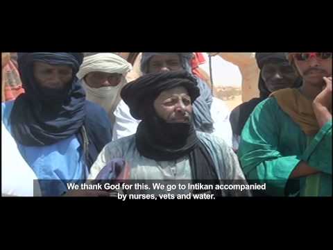 Niger:The Animal Caravan