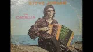 Steve Jordan - La camelia