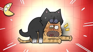 Download lagu ALASAN KUCING SUKA TERIAK-TERIAK PAS KAWIN mp3