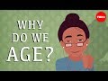 Why do our bodies age? - Monica Menesini