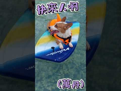 精彩生活, 「基」式行樂-第二屆金腳印獎『毛孩鏡勾追』活動