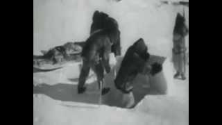 &quot;One of us cannot be wrong&quot;, Leonard Cohen