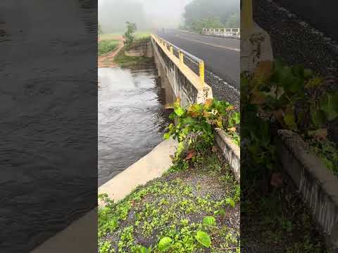 Rio corrente,Boa Hora Piauí…. #pescaria #nordeste #viagem